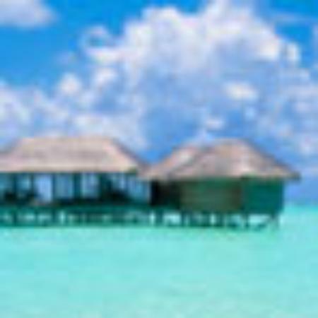 New Jai Shankar Bhojanalaya